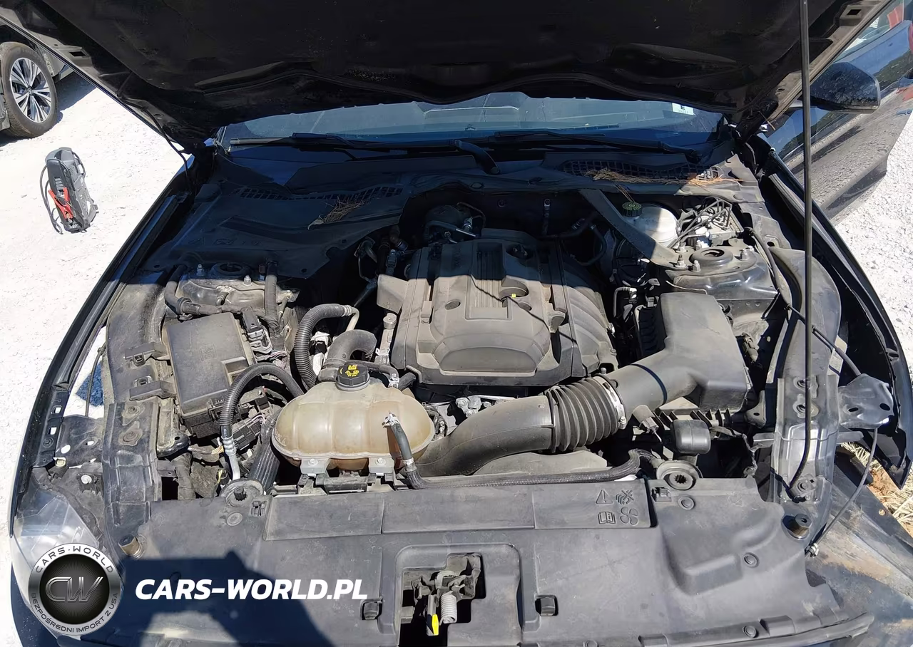 2019 Ford Mustang Ecoboost-Ecoboost Premium VIN:1FATP8UH8K5171307 - 10
