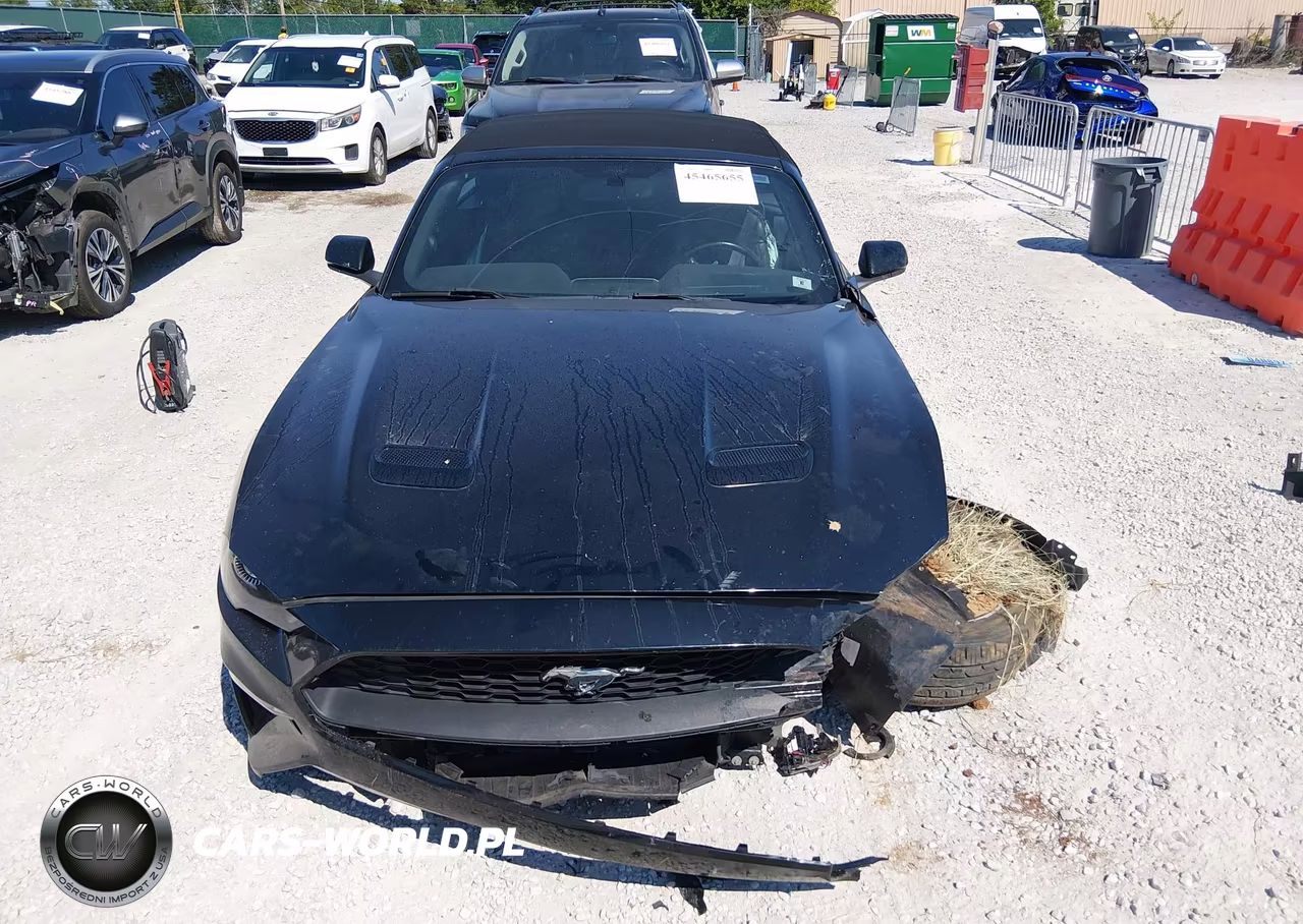 2019 Ford Mustang Ecoboost-Ecoboost Premium VIN:1FATP8UH8K5171307 - 13