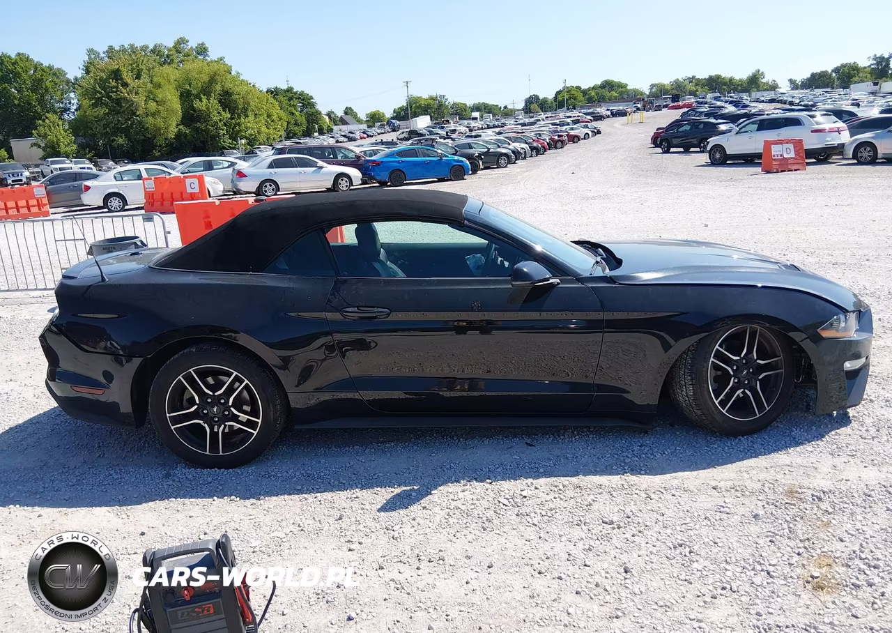 2019 Ford Mustang Ecoboost-Ecoboost Premium VIN:1FATP8UH8K5171307 - 14