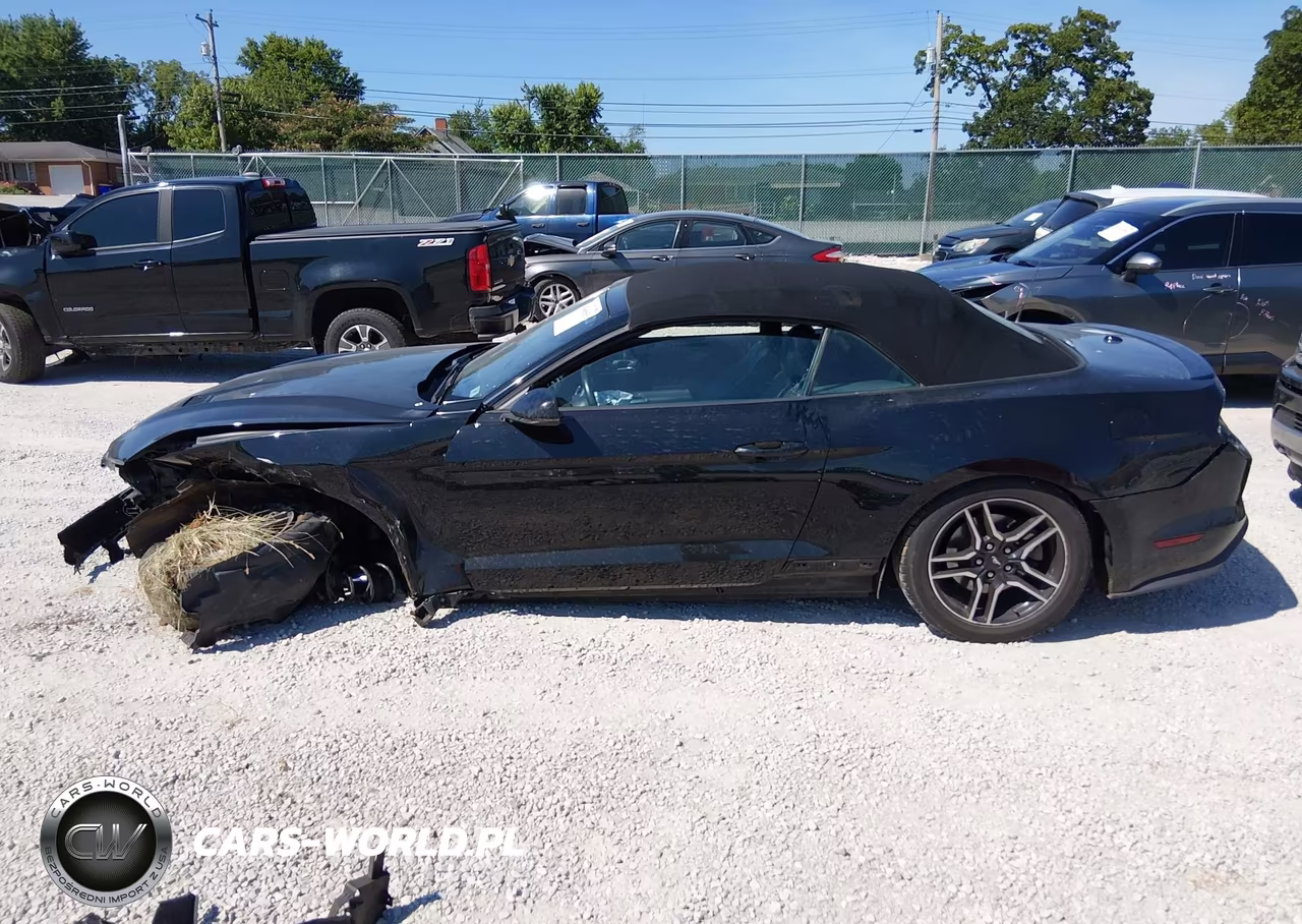 2019 Ford Mustang Ecoboost-Ecoboost Premium VIN:1FATP8UH8K5171307 - 15