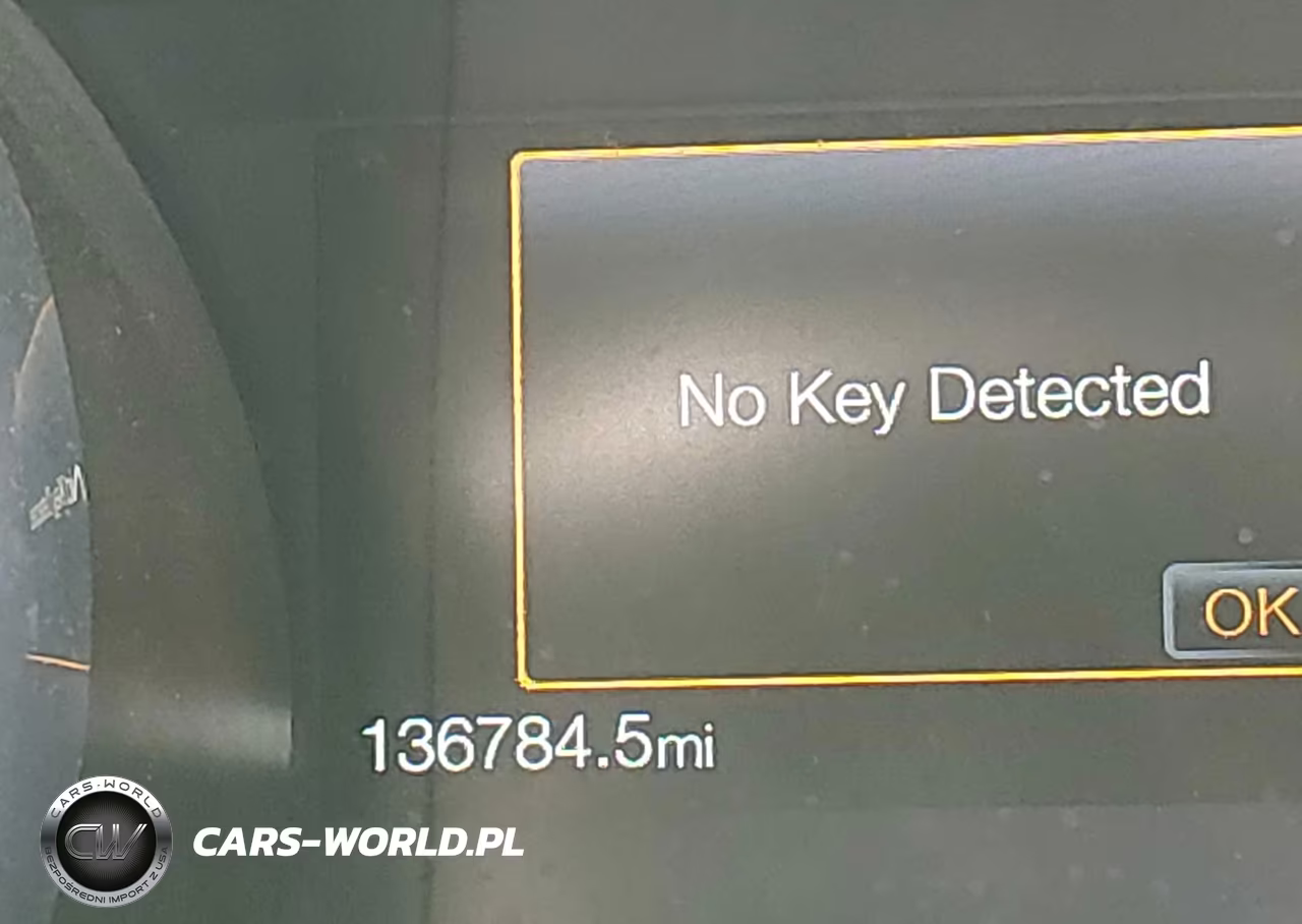 2019 Ford Mustang Ecoboost-Ecoboost Premium VIN:1FATP8UH8K5171307 - 16
