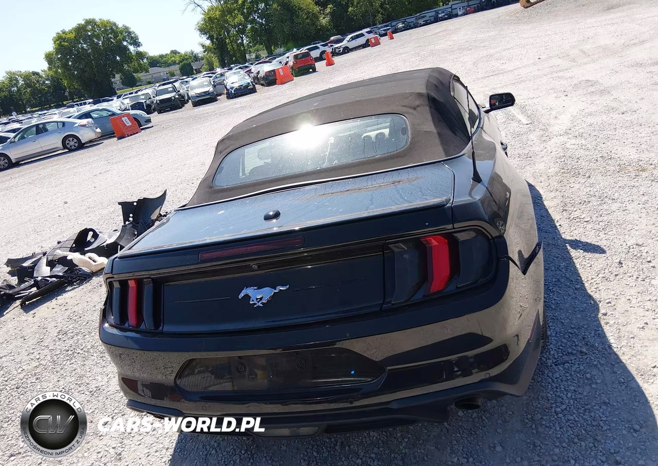 2019 Ford Mustang Ecoboost-Ecoboost Premium VIN:1FATP8UH8K5171307 - 17