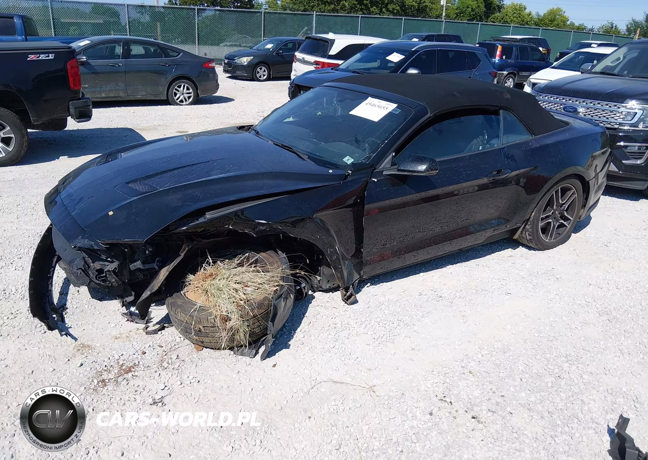 2019 Ford Mustang Ecoboost-Ecoboost Premium VIN:1FATP8UH8K5171307 - 2