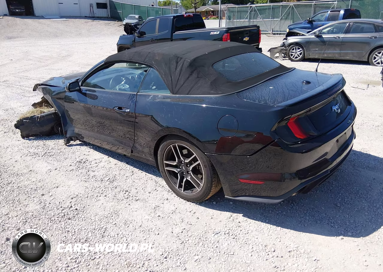 2019 Ford Mustang Ecoboost-Ecoboost Premium VIN:1FATP8UH8K5171307 - 3