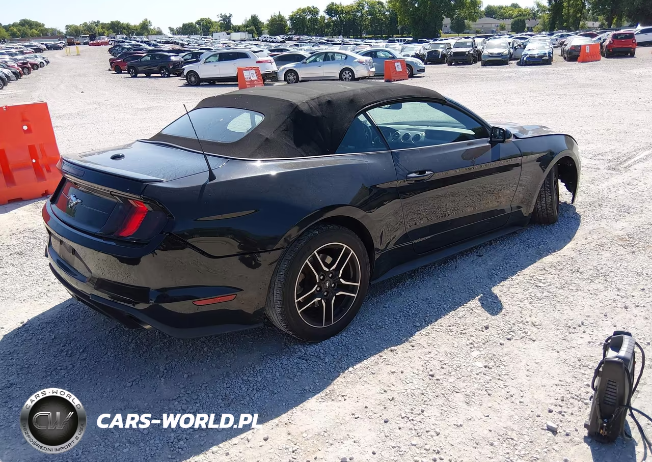 2019 Ford Mustang Ecoboost-Ecoboost Premium VIN:1FATP8UH8K5171307 - 4