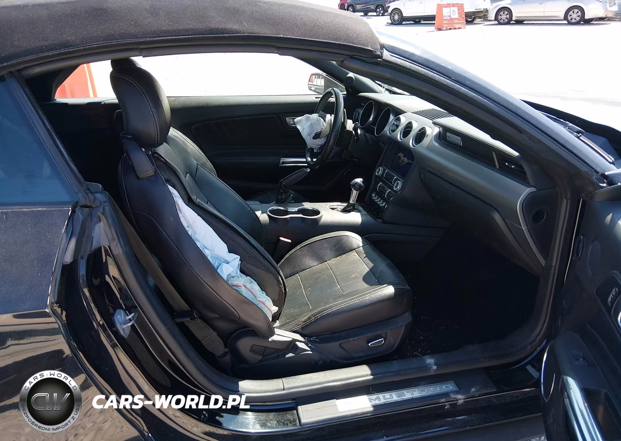 2019 Ford Mustang Ecoboost-Ecoboost Premium VIN:1FATP8UH8K5171307 - 5