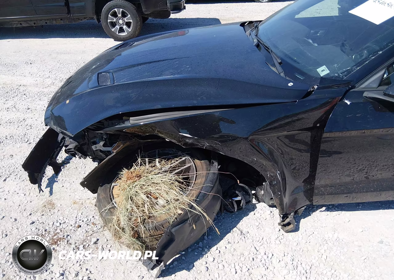 2019 Ford Mustang Ecoboost-Ecoboost Premium VIN:1FATP8UH8K5171307 - 6