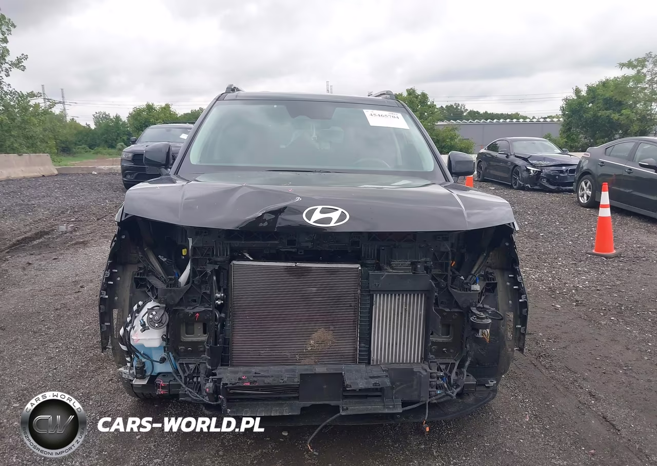 2025 Hyundai Santa Fe Hybrid Sel VIN:5NMP2DG13SH042874 - 12