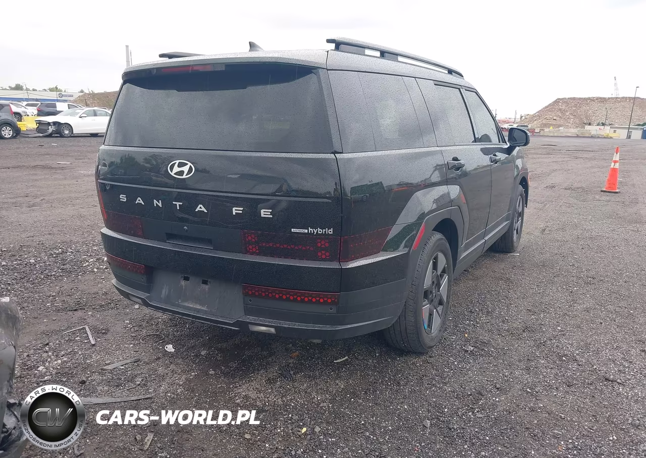 2025 Hyundai Santa Fe Hybrid Sel VIN:5NMP2DG13SH042874 - 4