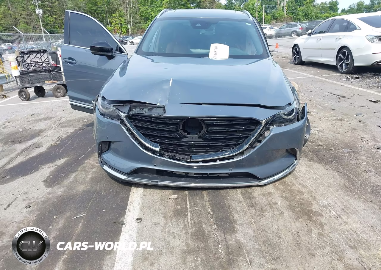 2021 Mazda Cx-9 Carbon Edition VIN:JM3TCBDY5M0503391 - 13