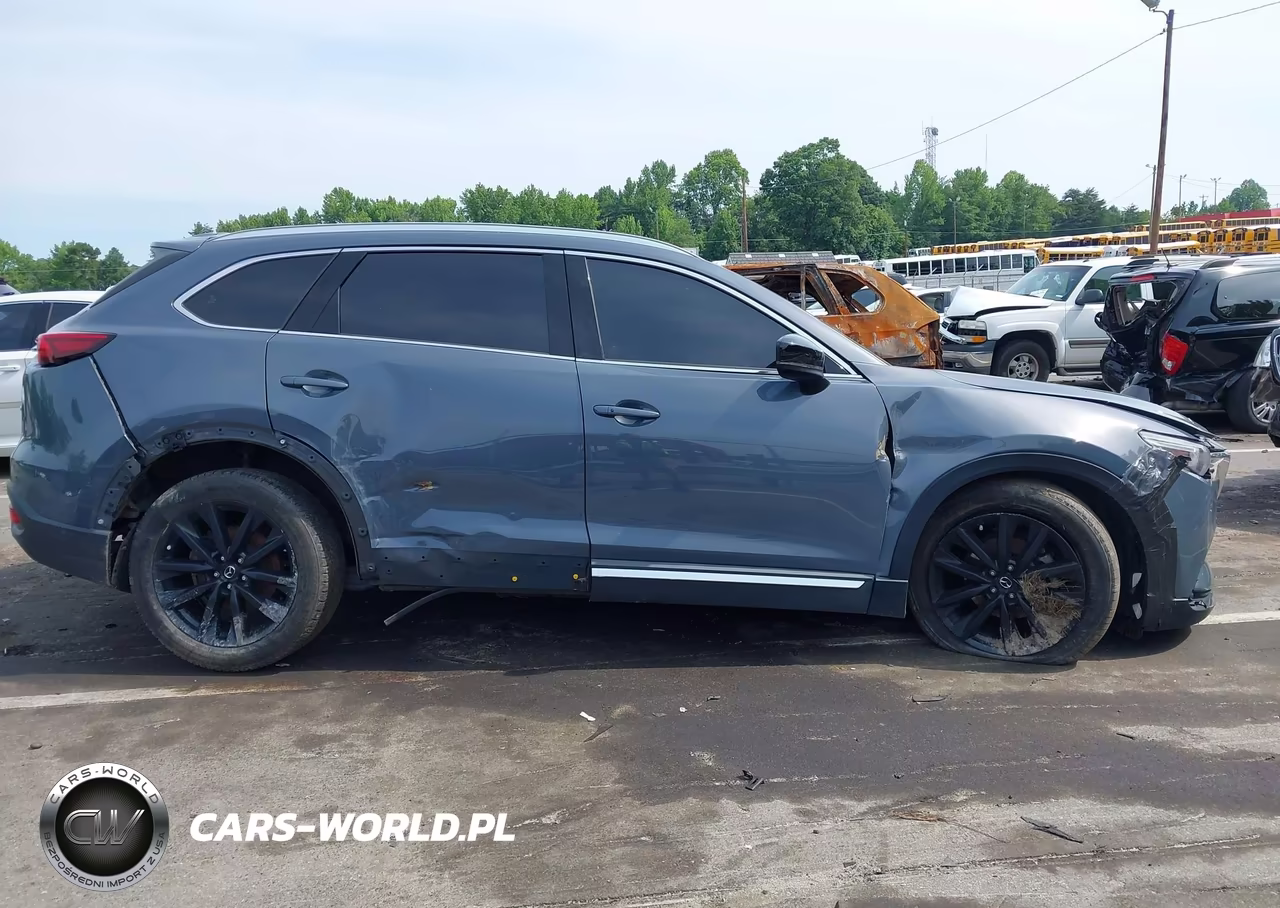 2021 Mazda Cx-9 Carbon Edition VIN:JM3TCBDY5M0503391 - 14
