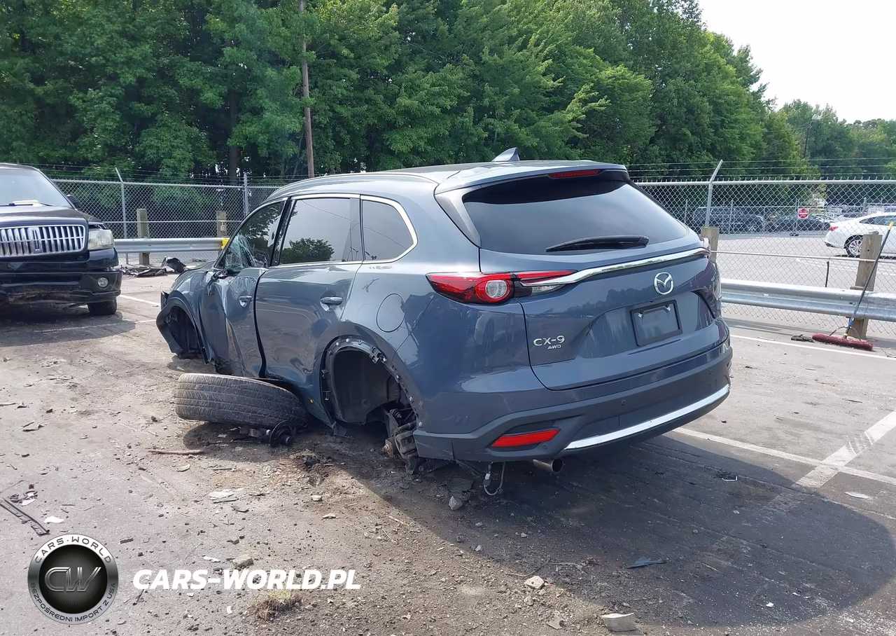 2021 Mazda Cx-9 Carbon Edition VIN:JM3TCBDY5M0503391 - 3