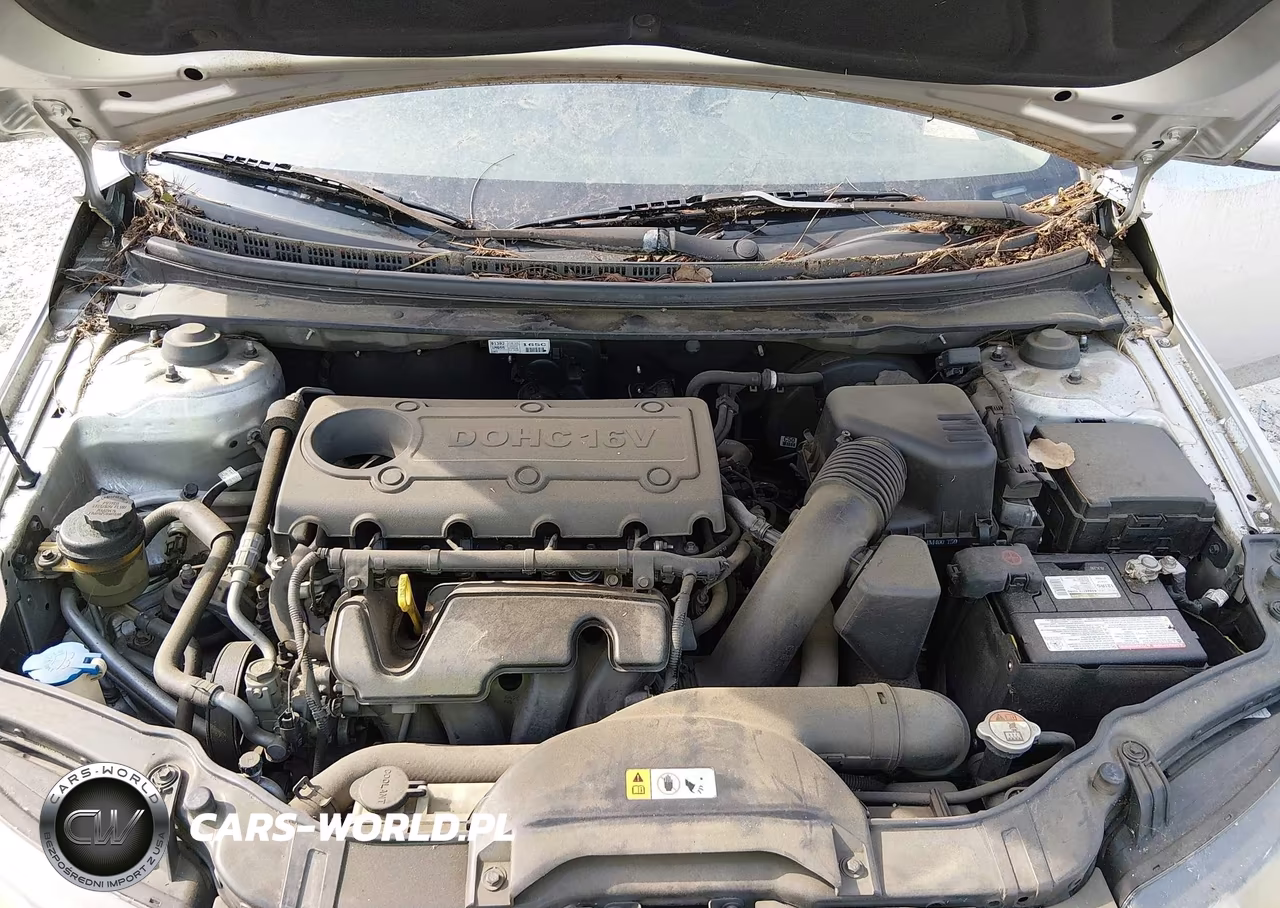 2013 Kia Forte Lx VIN:KNAFT4A25D5725754 - 10