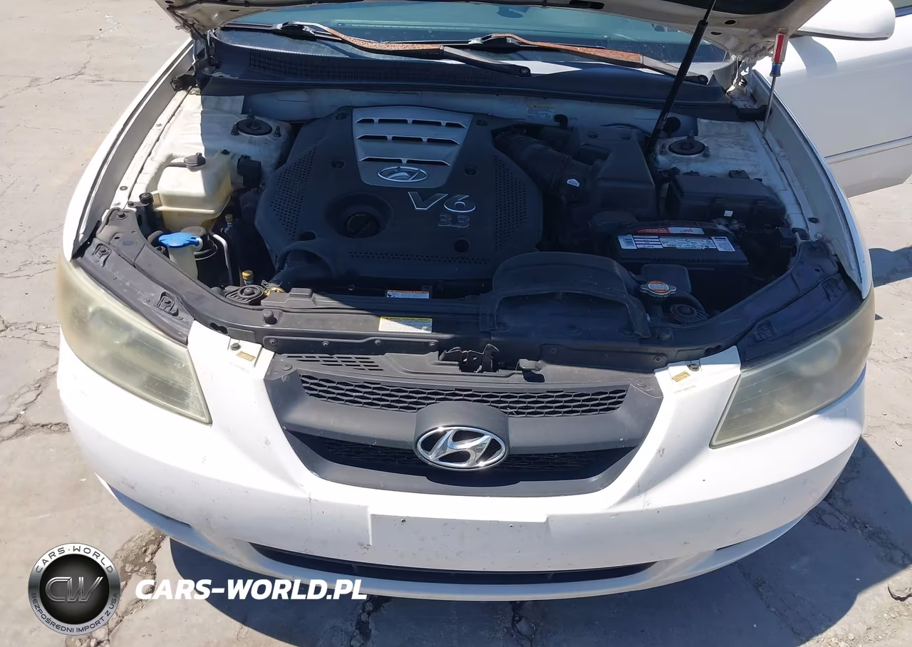 2006 Hyundai Sonata Gls V6-Lx V6 VIN:5NPEU46F86H072721 - 10