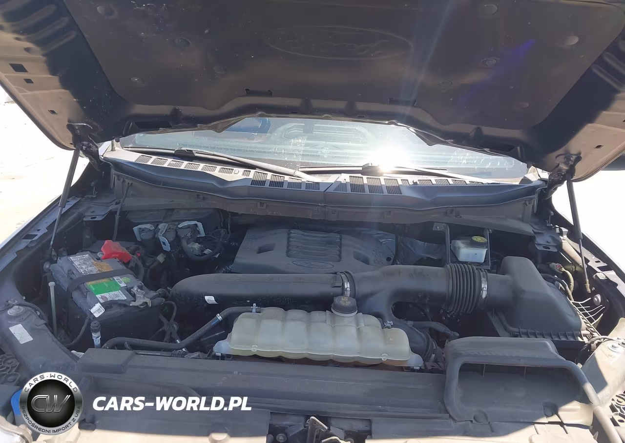 2021 Ford F-150 Lariat VIN:1FTFW1E88MFA46532 - 10