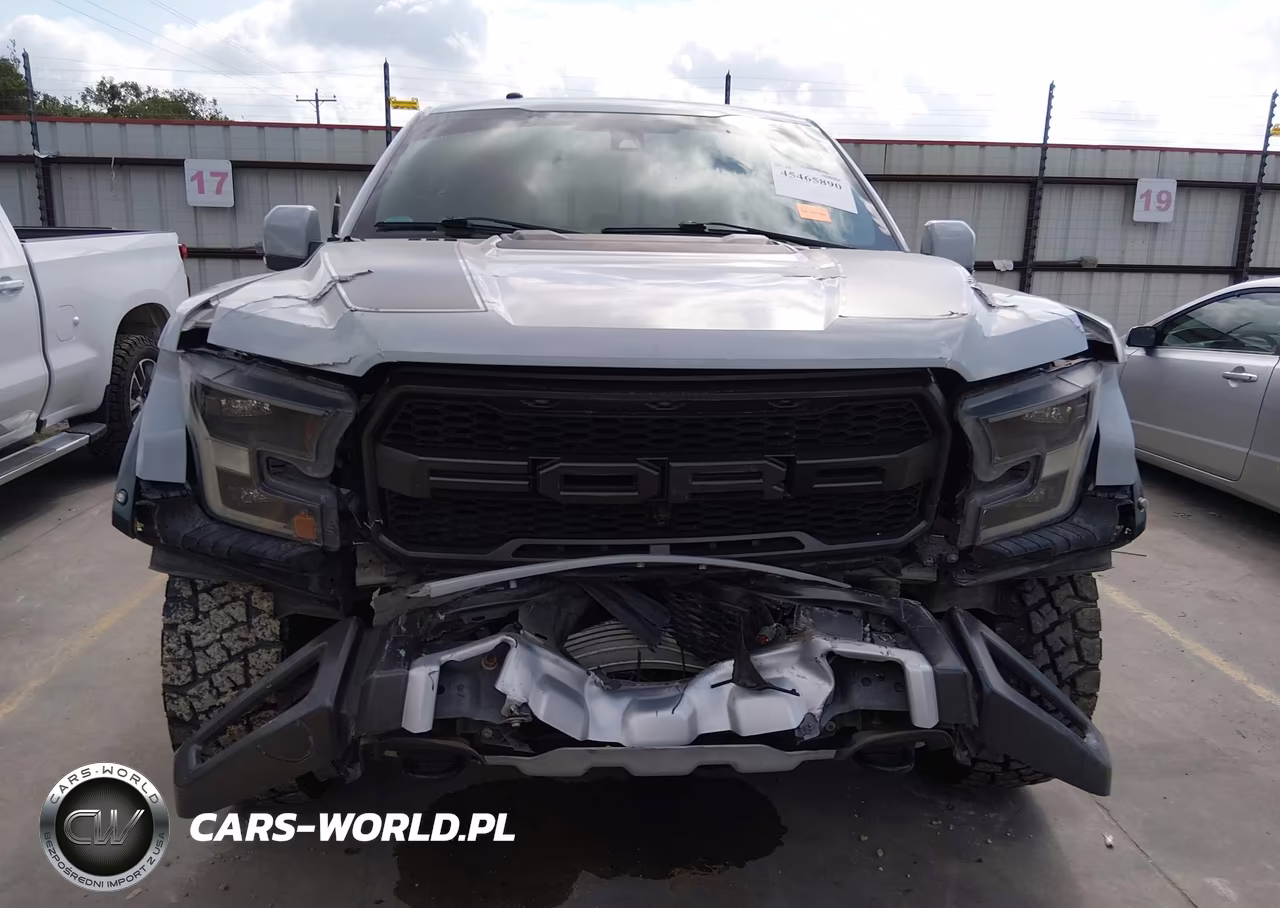 2017 Ford F-150 Raptor VIN:1FTFW1RG5HFA66454 - 12