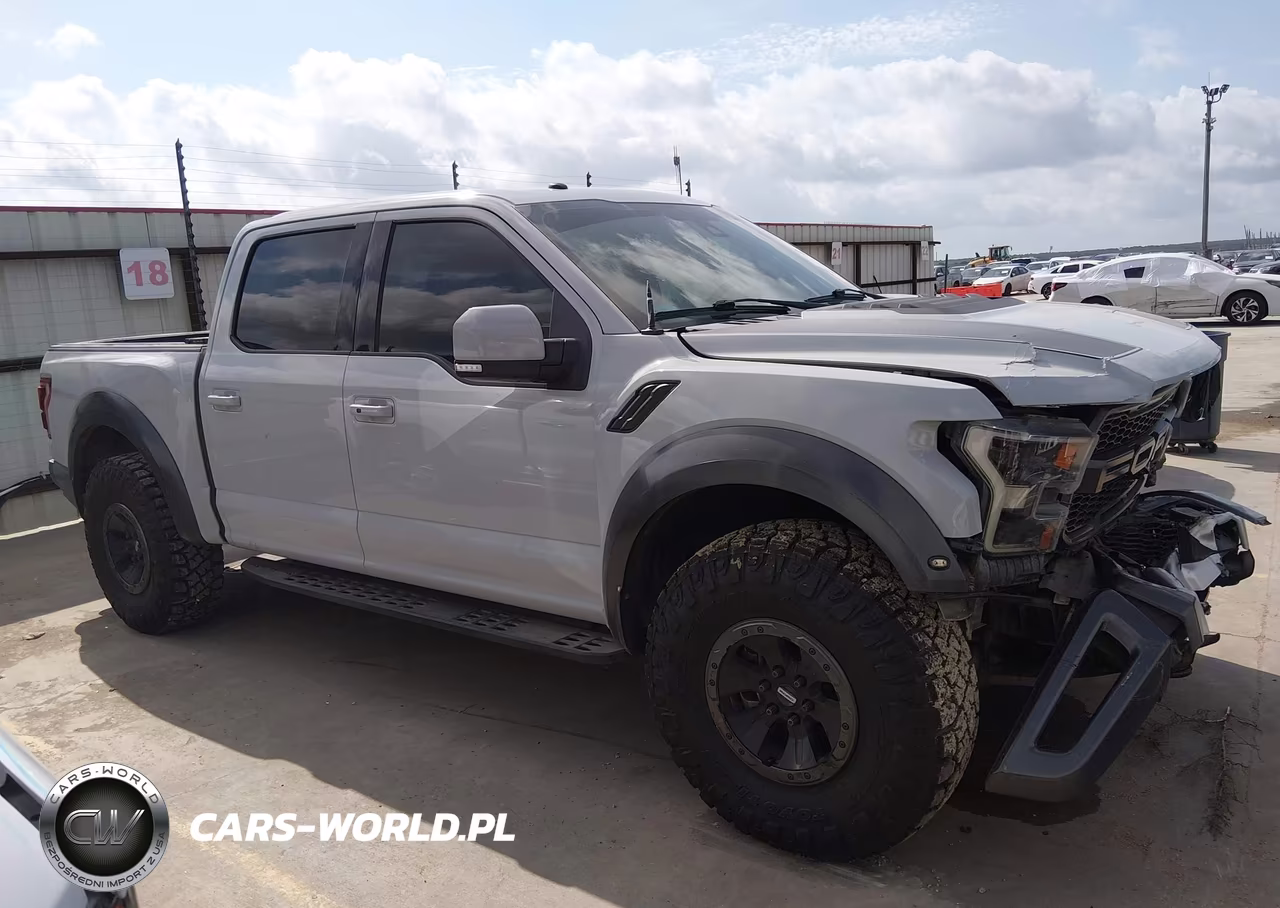 2017 Ford F-150 Raptor VIN:1FTFW1RG5HFA66454 - 13