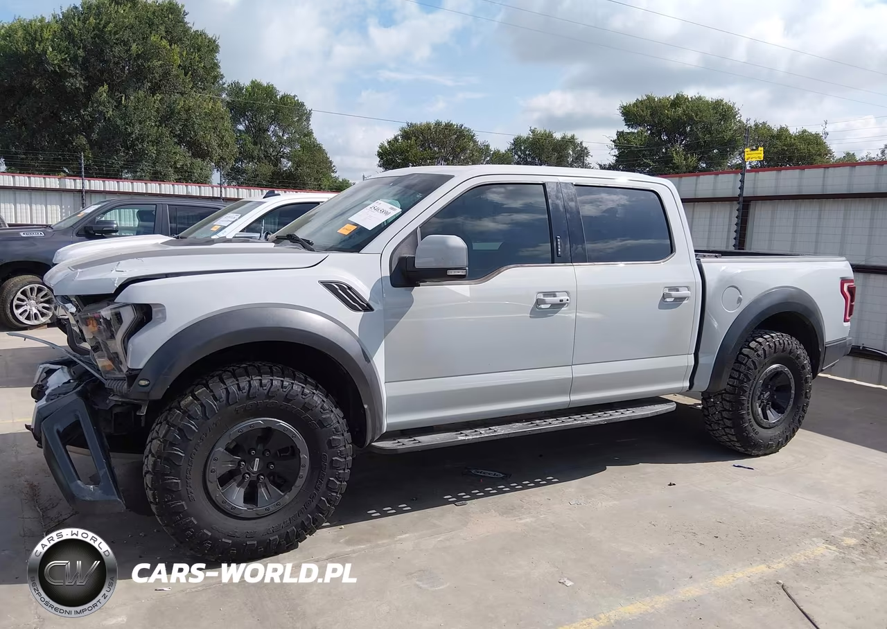 2017 Ford F-150 Raptor VIN:1FTFW1RG5HFA66454 - 14