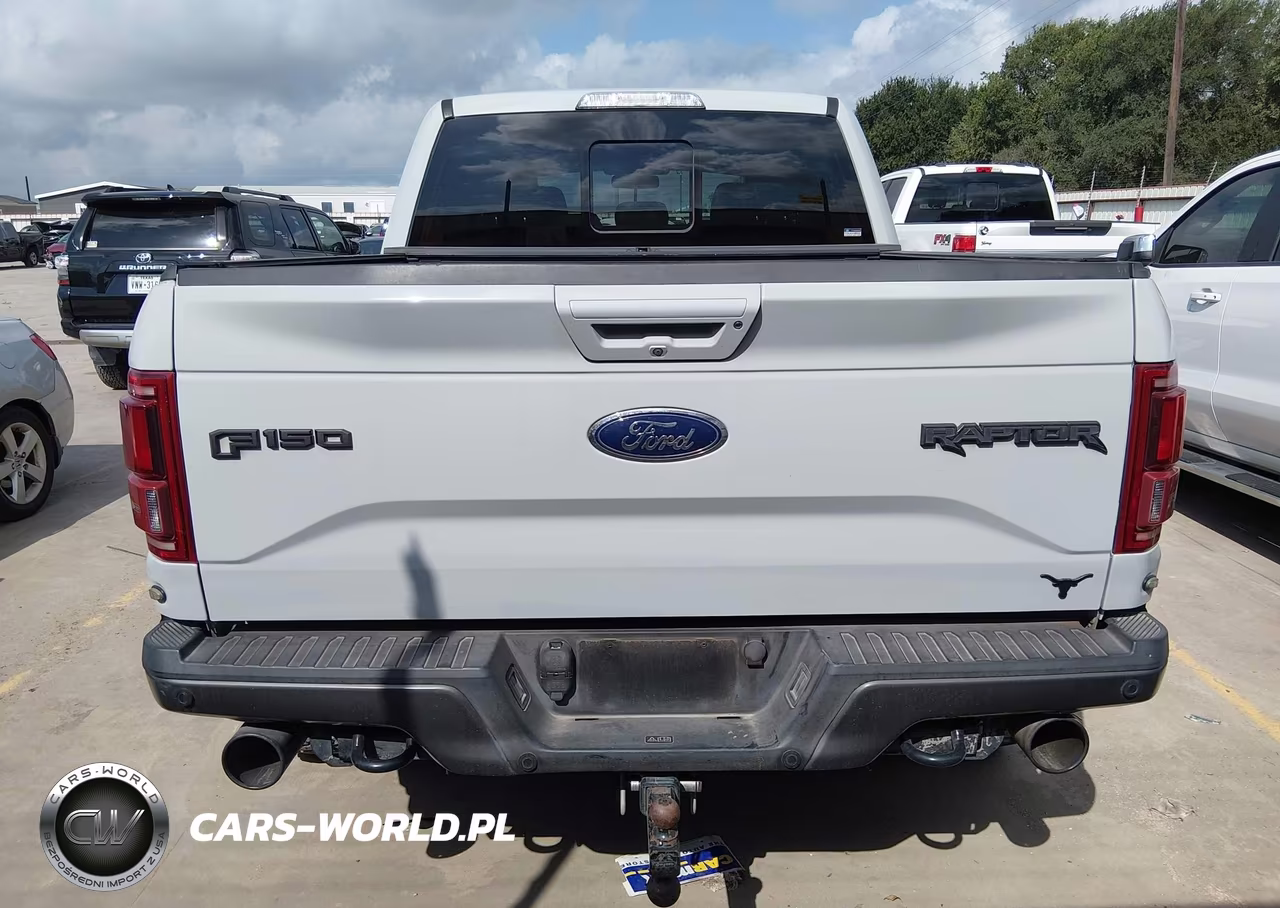 2017 Ford F-150 Raptor VIN:1FTFW1RG5HFA66454 - 16