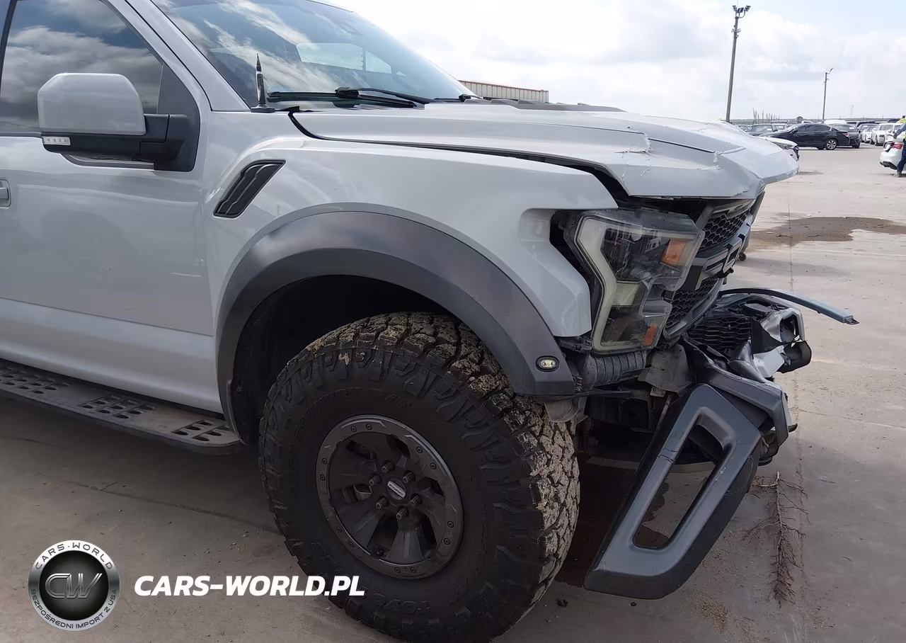 2017 Ford F-150 Raptor VIN:1FTFW1RG5HFA66454 - 17