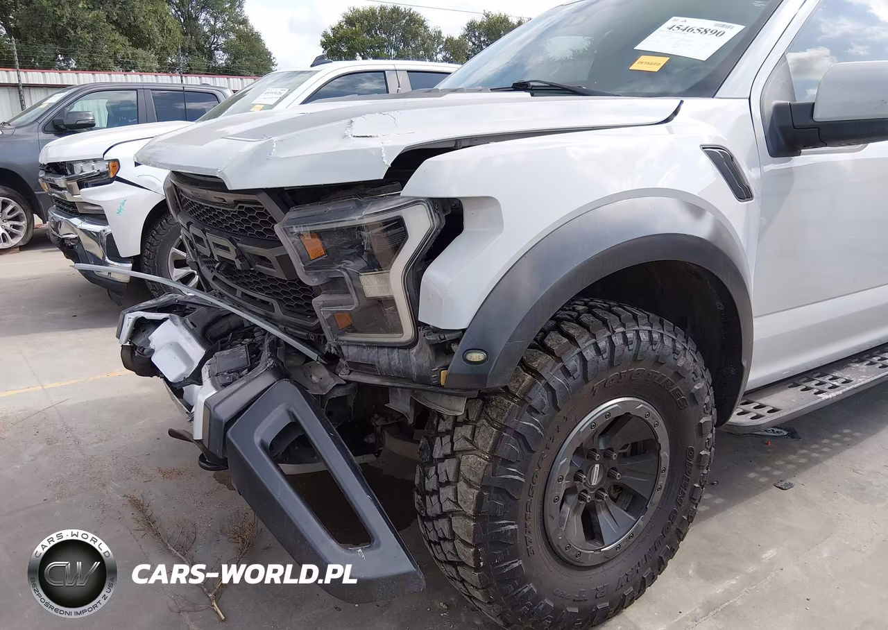 2017 Ford F-150 Raptor VIN:1FTFW1RG5HFA66454 - 18