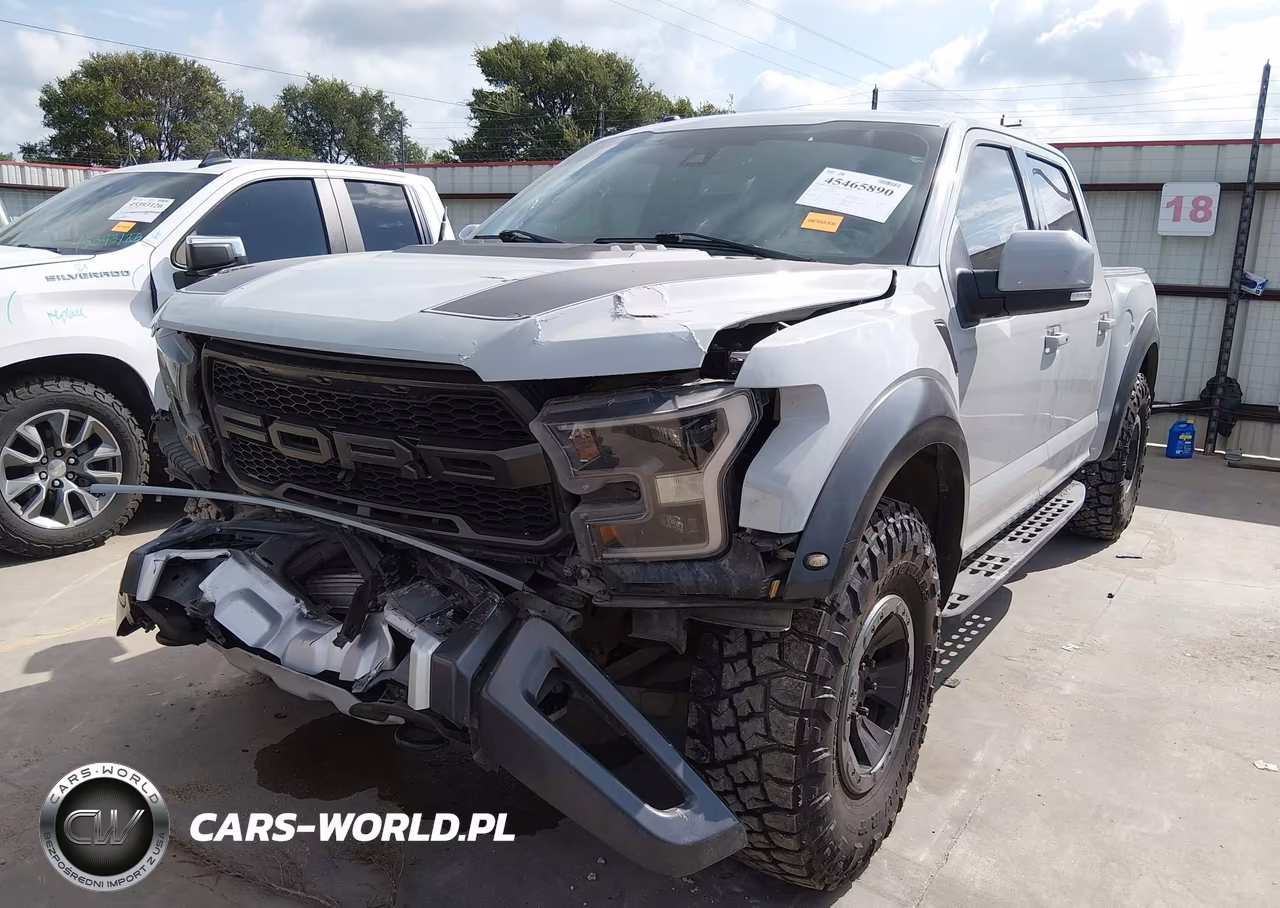 2017 Ford F-150 Raptor VIN:1FTFW1RG5HFA66454 - 2