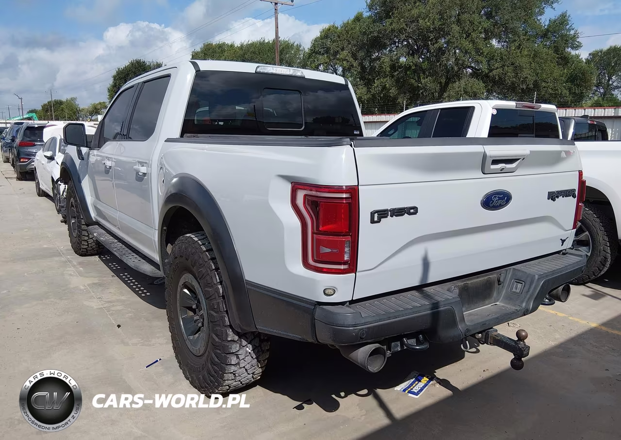 2017 Ford F-150 Raptor VIN:1FTFW1RG5HFA66454 - 3