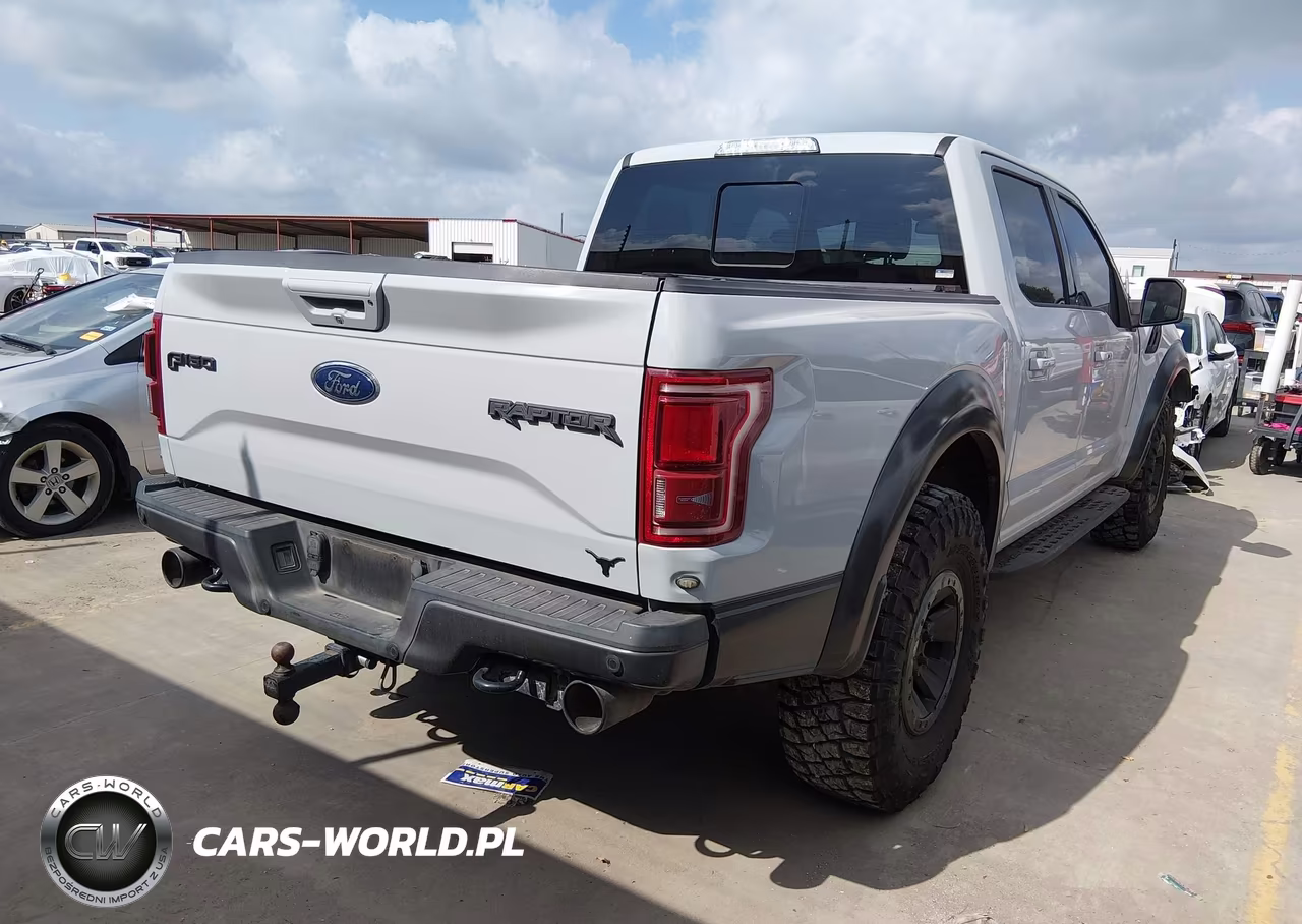 2017 Ford F-150 Raptor VIN:1FTFW1RG5HFA66454 - 4