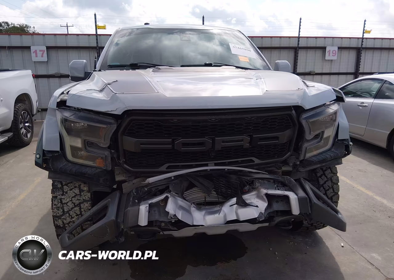 2017 Ford F-150 Raptor VIN:1FTFW1RG5HFA66454 - 6