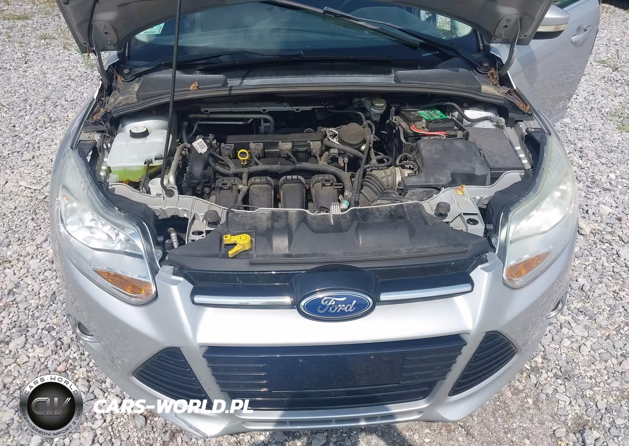 2012 Ford Focus Sel VIN:1FAHP3M26CL317110 - 10