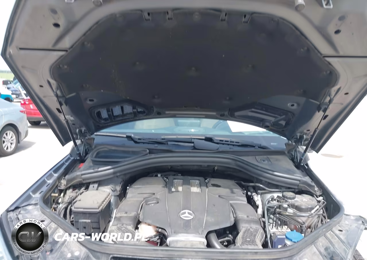 2017 Mercedes-Benz Gls 450 4Matic VIN:4JGDF6EE1HA968438 - 10