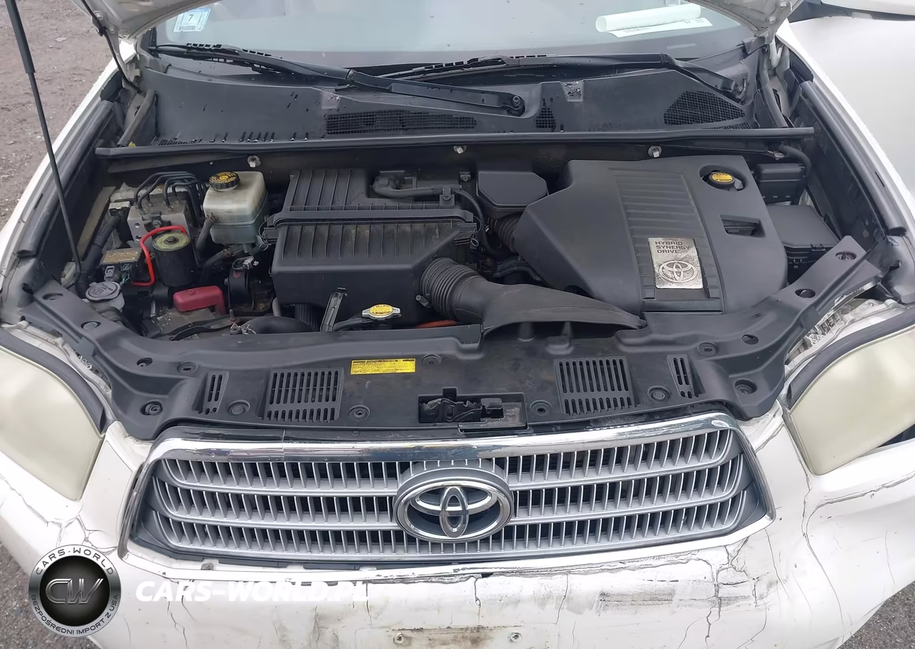 2009 Toyota Highlander Hybrid Limited VIN:JTEEW44A092035407 - 10