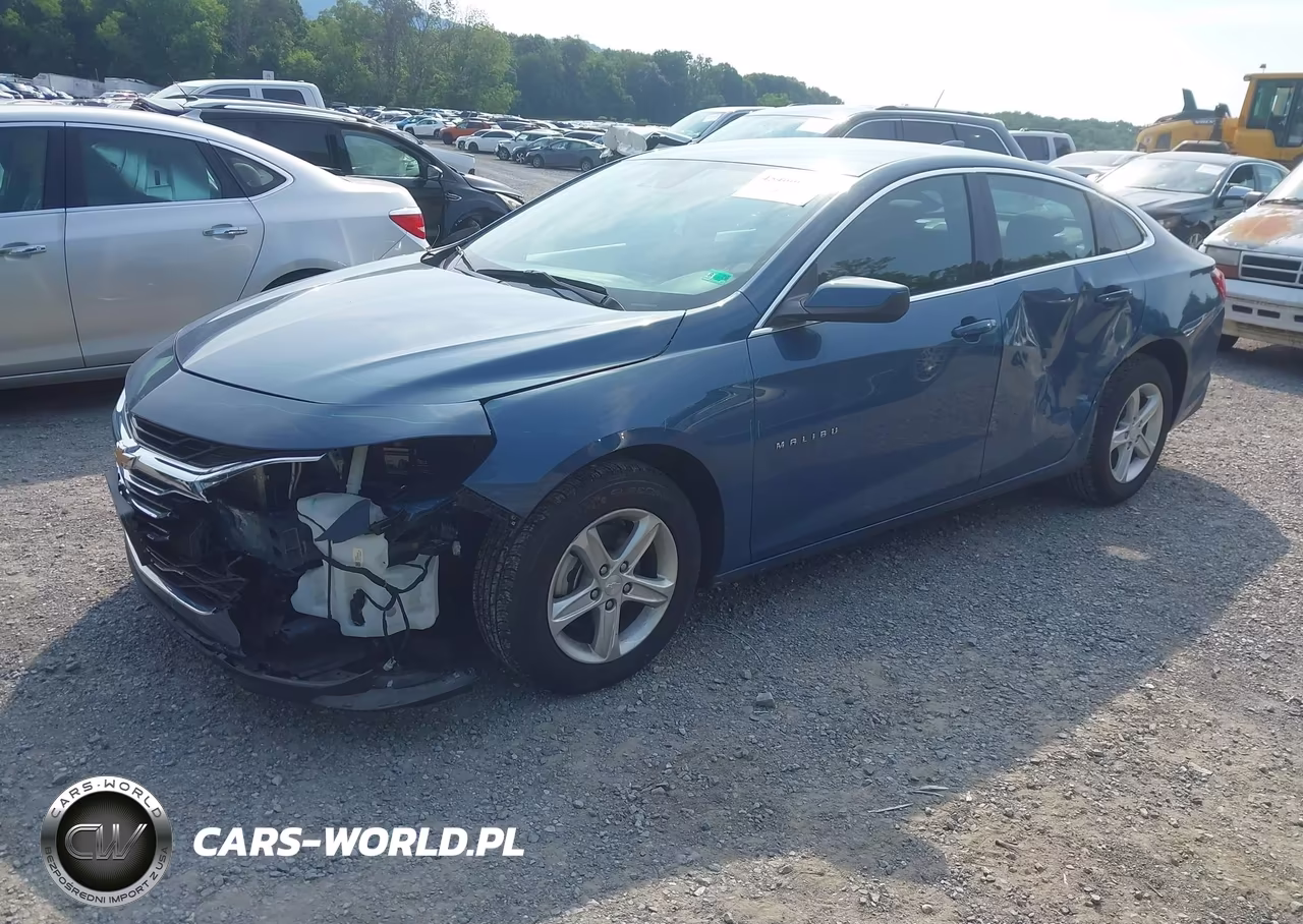 2024 Chevrolet Malibu Fwd 1Lt VIN:1G1ZD5ST3RF239951 - 2