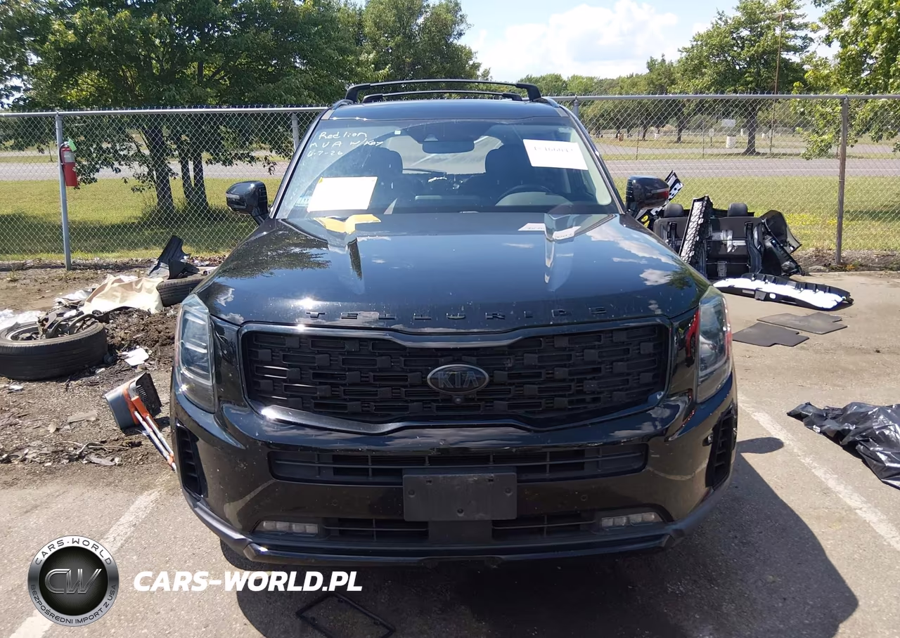 2021 Kia Telluride Sx VIN:5XYP5DHC6MG095833 - 13