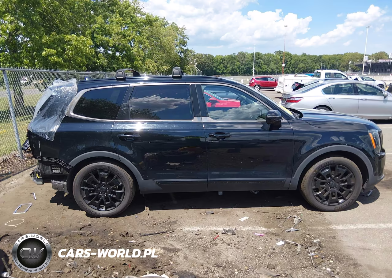 2021 Kia Telluride Sx VIN:5XYP5DHC6MG095833 - 14