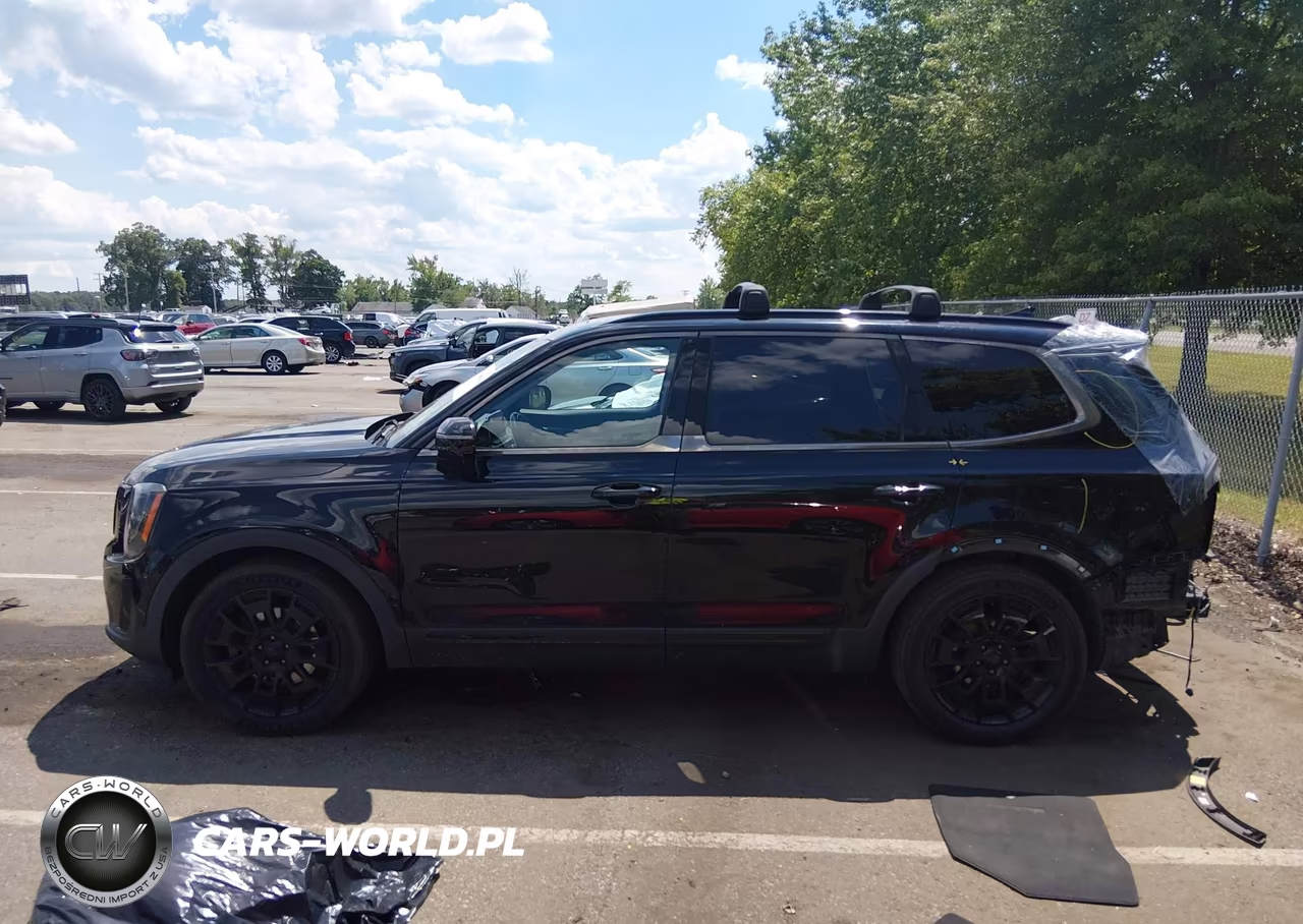 2021 Kia Telluride Sx VIN:5XYP5DHC6MG095833 - 15