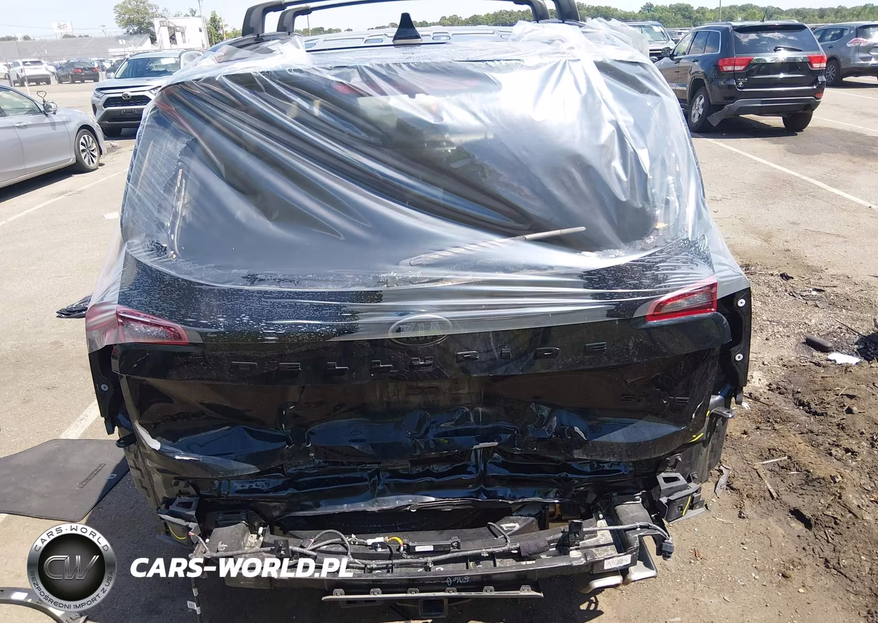 2021 Kia Telluride Sx VIN:5XYP5DHC6MG095833 - 17