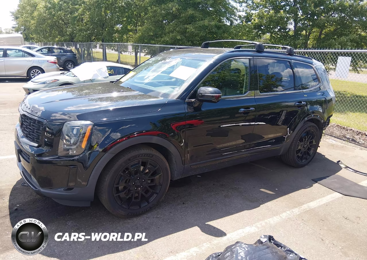 2021 Kia Telluride Sx VIN:5XYP5DHC6MG095833 - 2