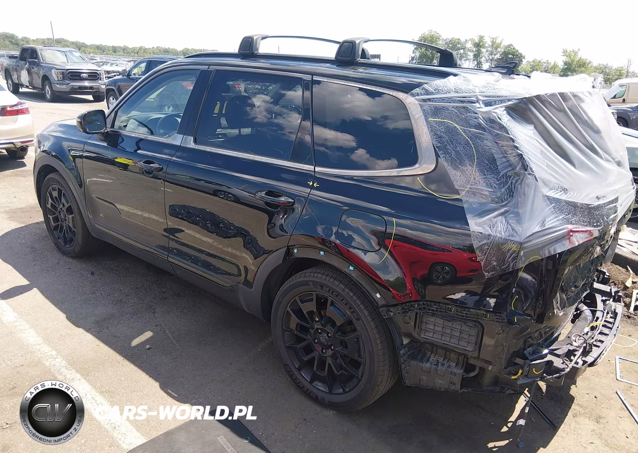 2021 Kia Telluride Sx VIN:5XYP5DHC6MG095833 - 3