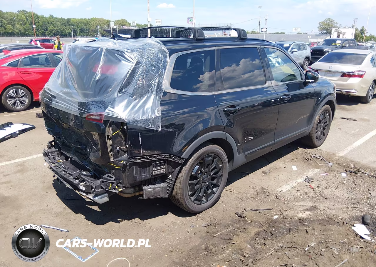 2021 Kia Telluride Sx VIN:5XYP5DHC6MG095833 - 4