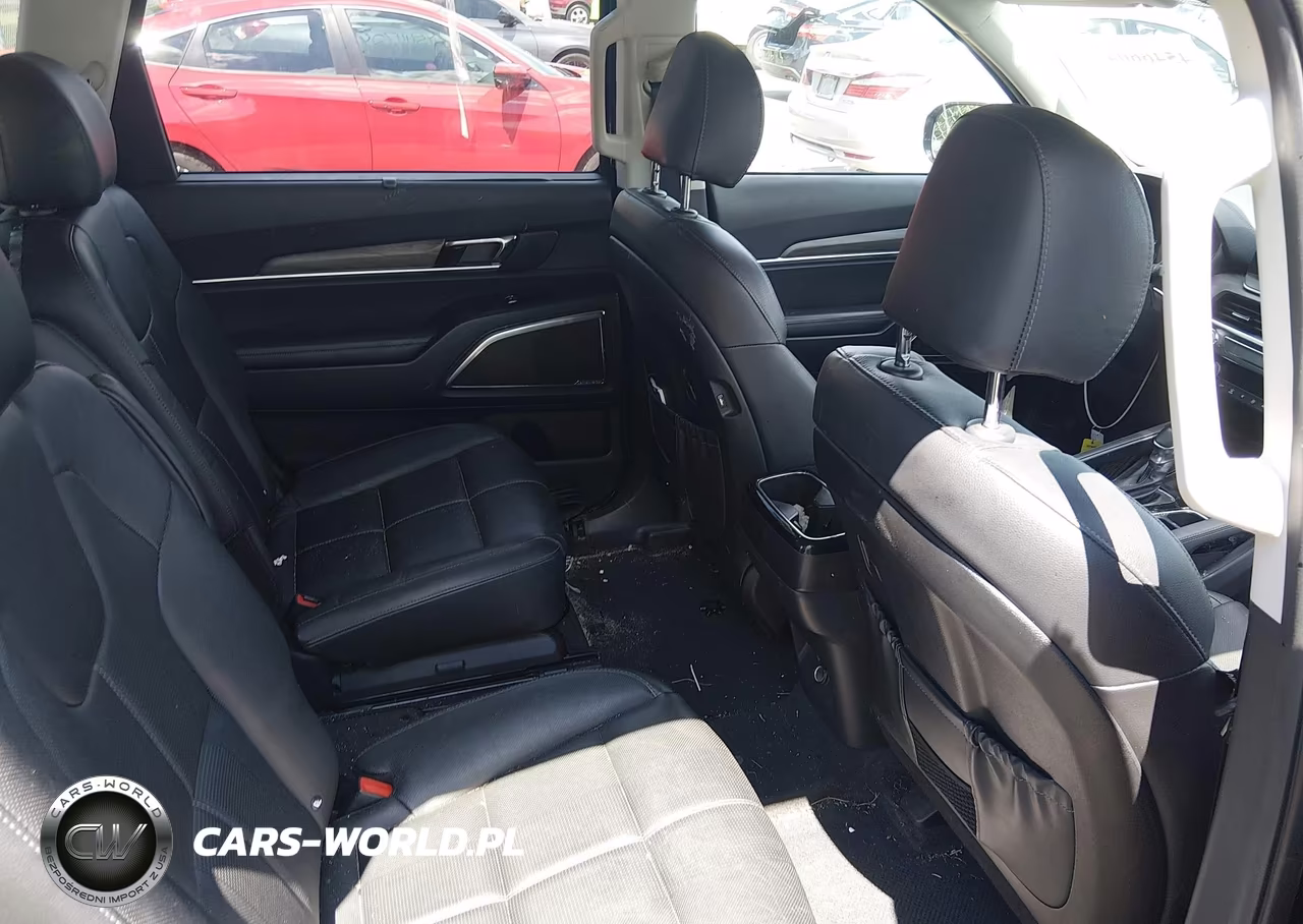 2021 Kia Telluride Sx VIN:5XYP5DHC6MG095833 - 8