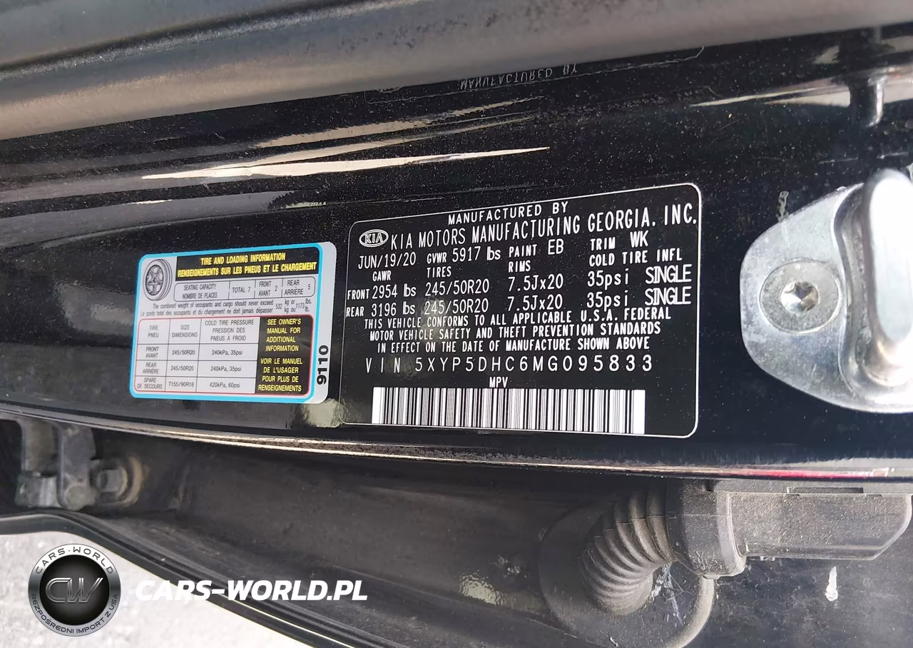 2021 Kia Telluride Sx VIN:5XYP5DHC6MG095833 - 9