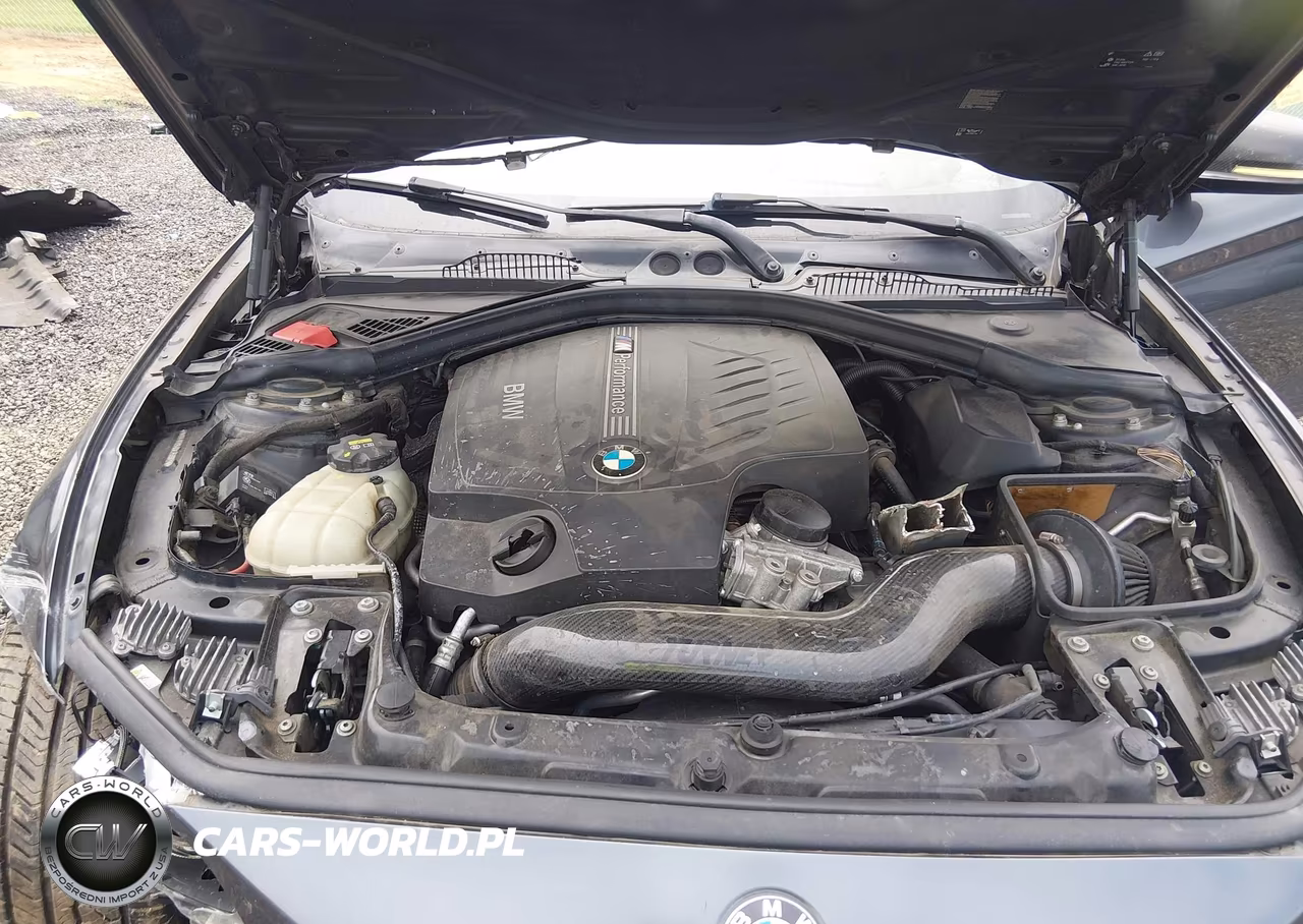 2016 BMW M235I VIN:WBA1J7C51GV359983 - 10