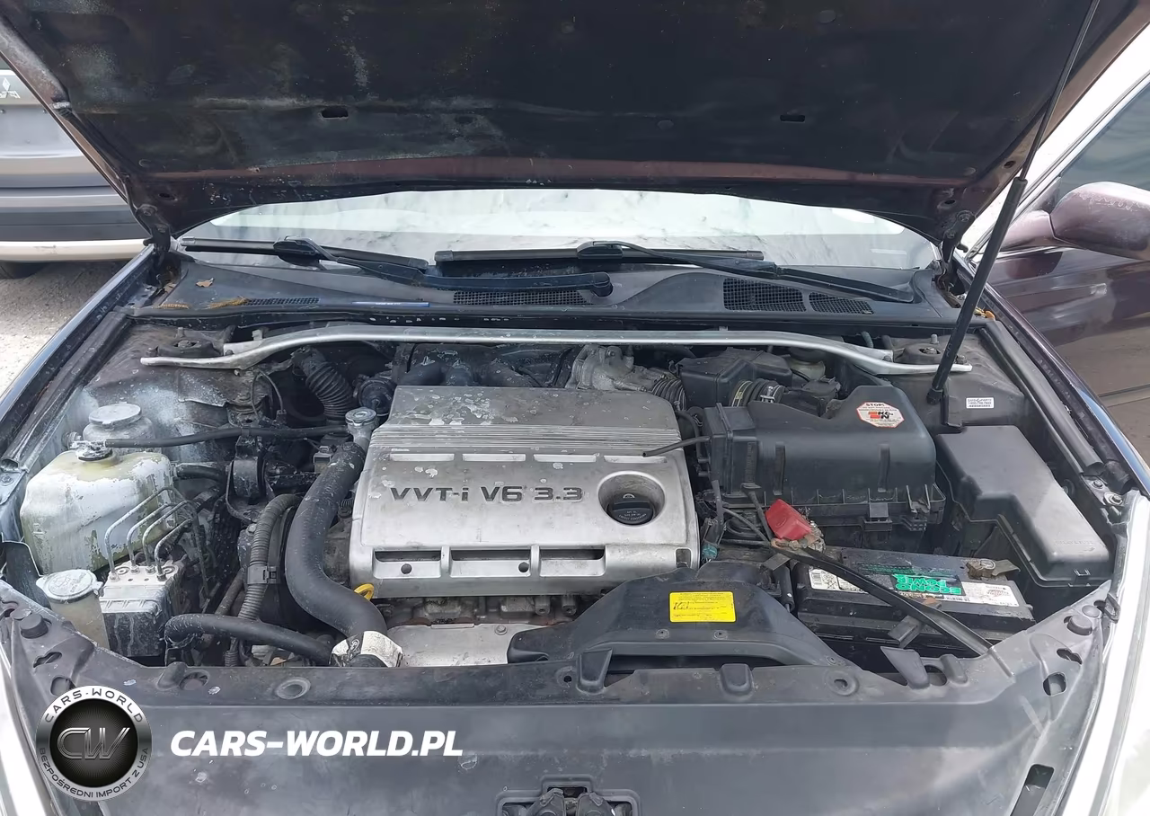 2006 Lexus Es 330 VIN:JTHBA30G665171219 - 10