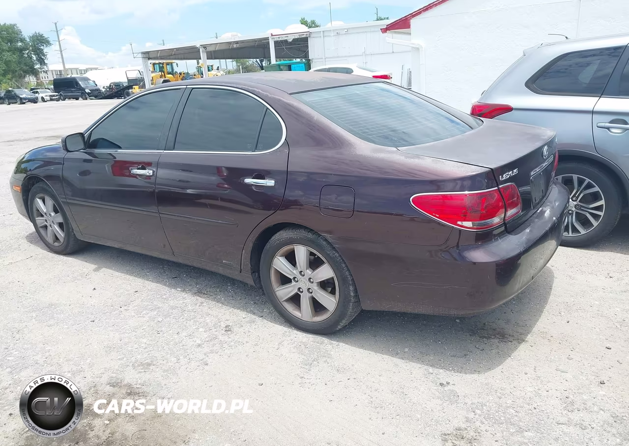 2006 Lexus Es 330 VIN:JTHBA30G665171219 - 3