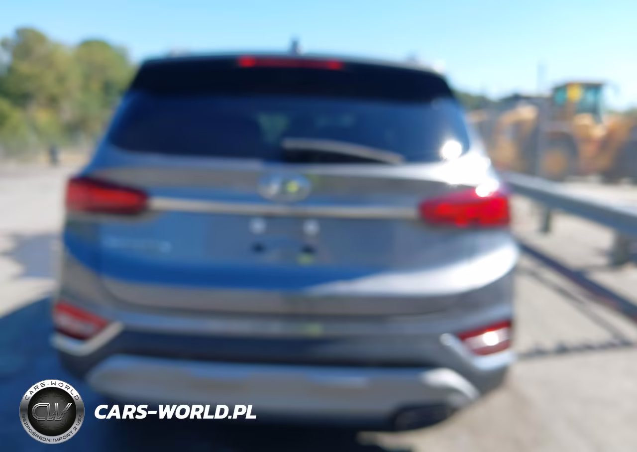 2019 Hyundai Santa Fe Ultimate VIN:5NMS53AD9KH007951 - 16