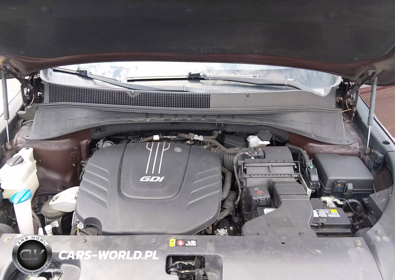 2017 Kia Sorento 3.3L Lx VIN:5XYPGDA53HG327915 - 10