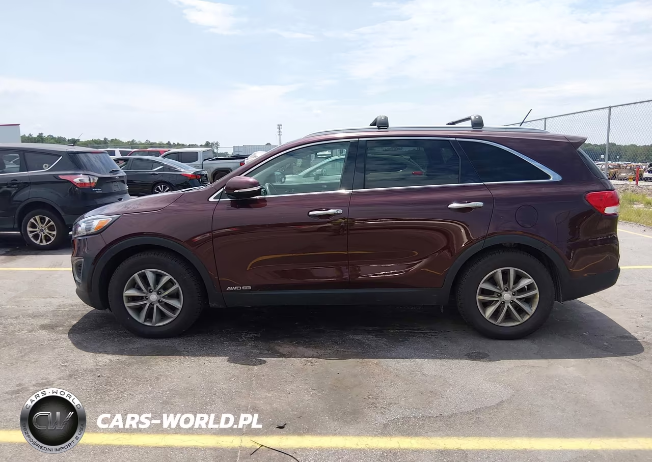 2017 Kia Sorento 3.3L Lx VIN:5XYPGDA53HG327915 - 14