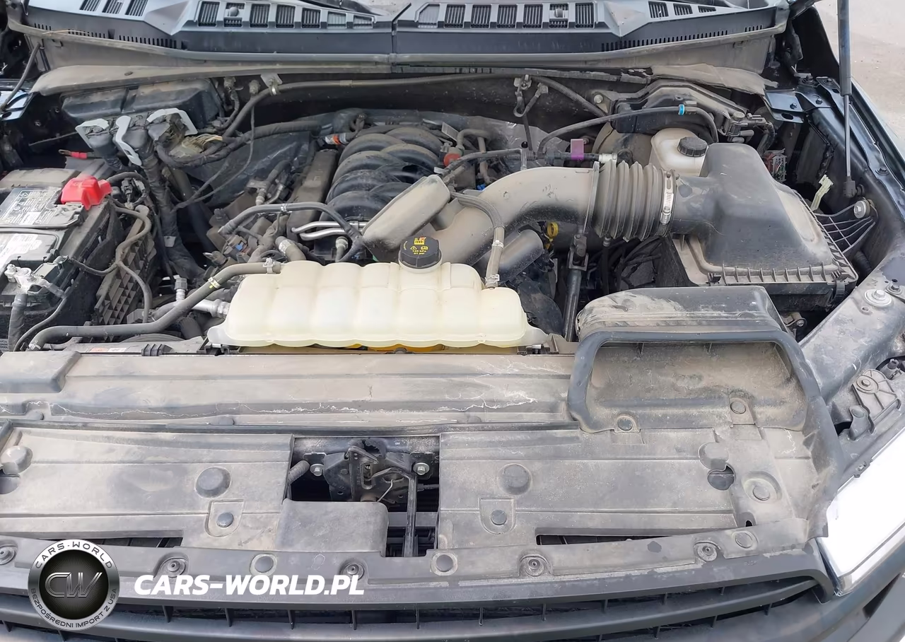 2019 Ford F-150 Xl-Xlt VIN:1FTNF1E56KKE52248 - 10