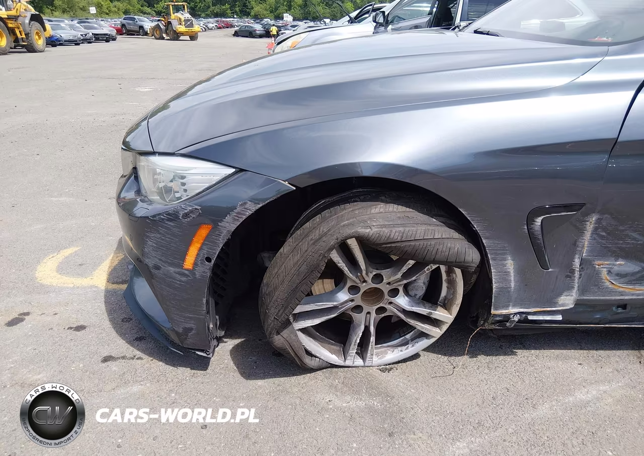 2015 BMW 435I Gran Coupe xDrive VIN:WBA4B3C56FD670445 - 6